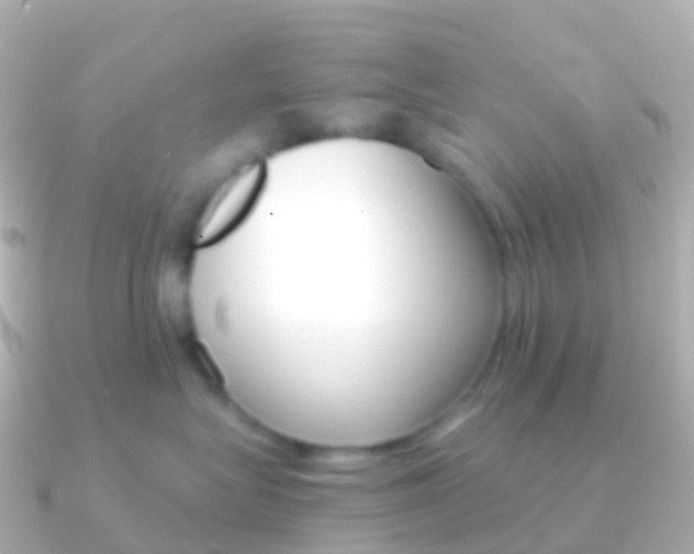 X0000091340575200708101021