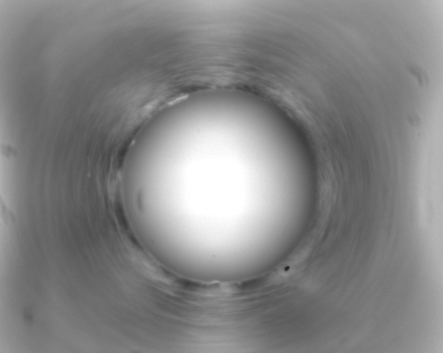 X0000091340576200708101021