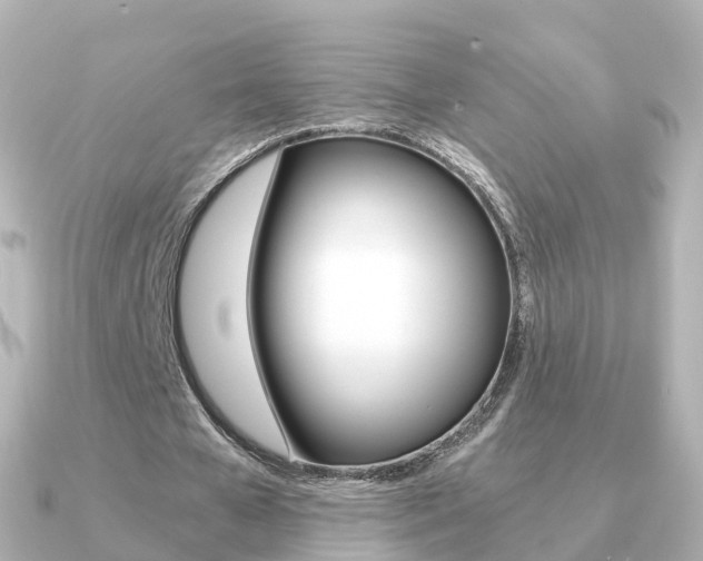 X0000091340577200708101021
