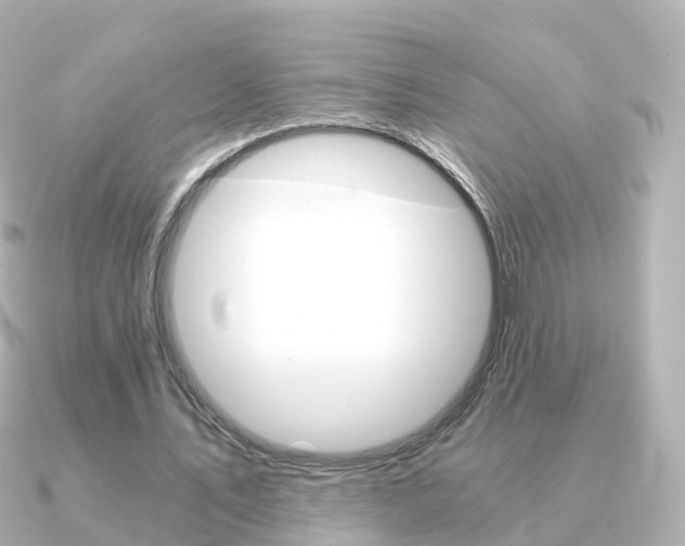 X0000091340579200708101021