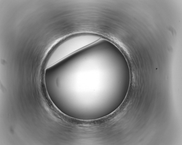 X0000091340580200708101021