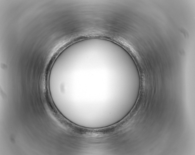 X0000091340582200708101021