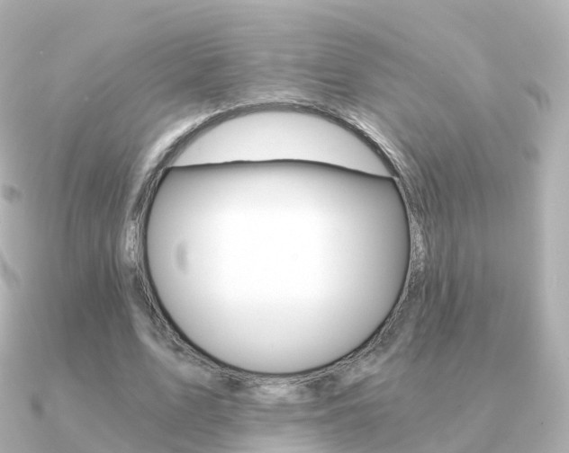 X0000091340583200708101021