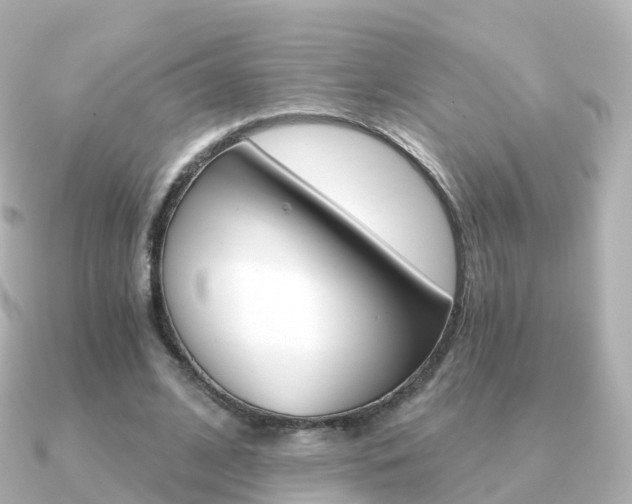 X0000091340584200708101021