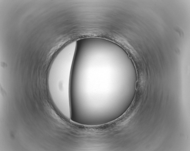 X0000091340585200708101021