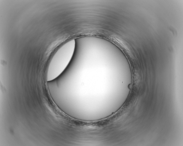 X0000091340586200708101021