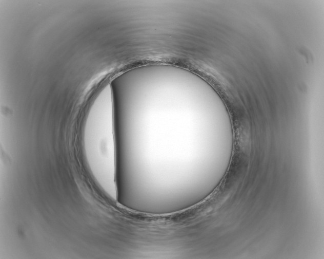 X0000091340587200708101021