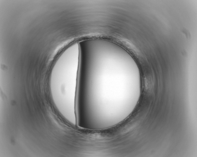 X0000091340588200708101021