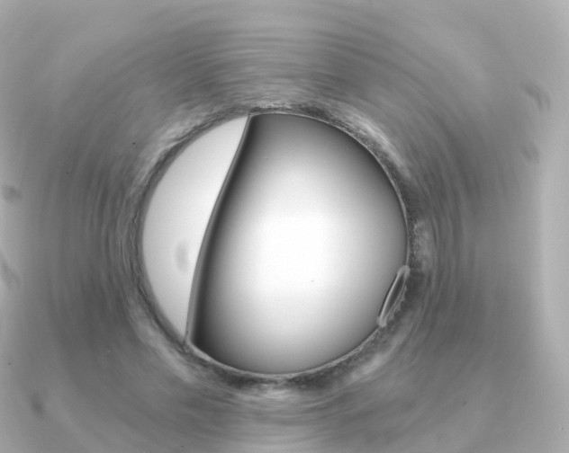 X0000091340589200708101021