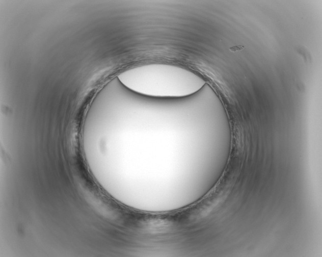 X0000091340590200708101021