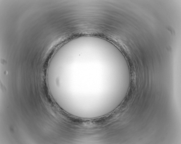 X0000091340591200708101021