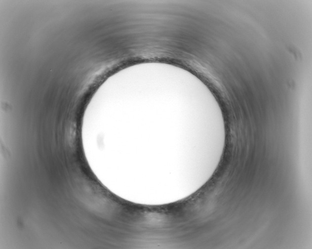 X0000091340592200708101021