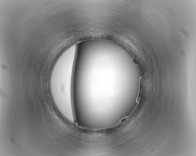 X0000091340593200708101021