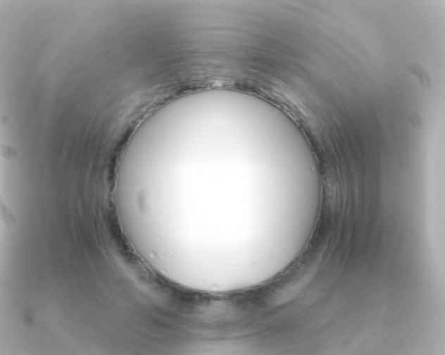 X0000091340594200708101021