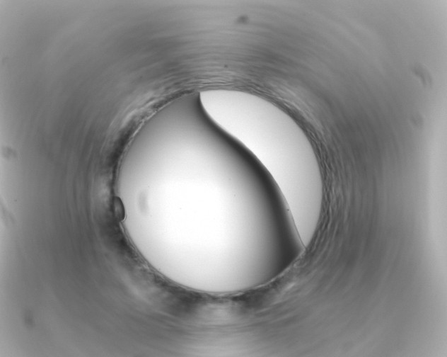 X0000091340595200708101021