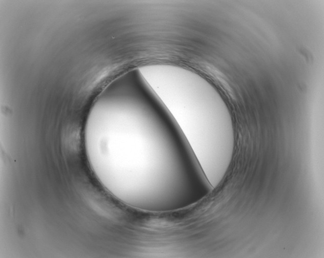 X0000091340596200708101021