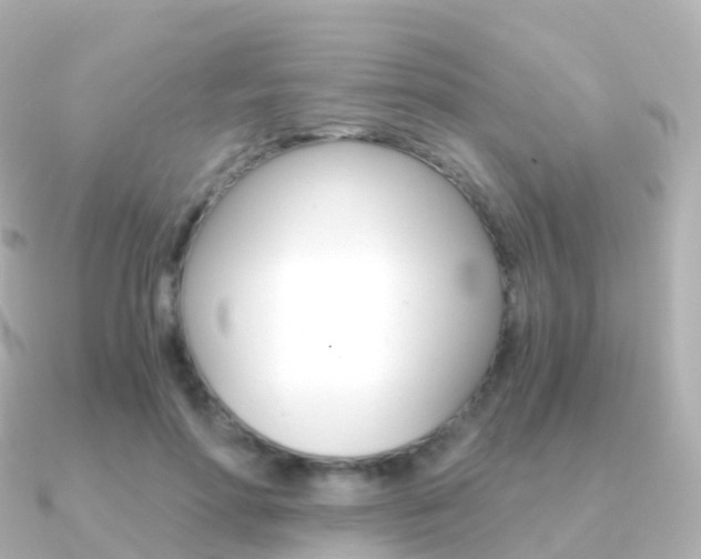 X0000091340598200708101021
