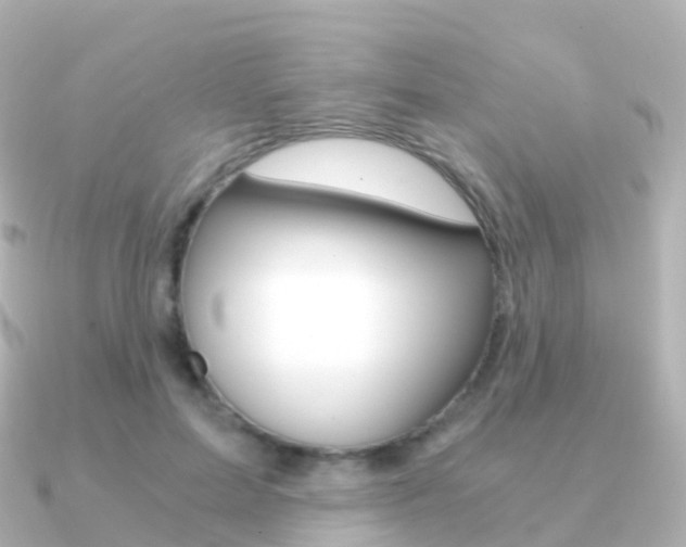X0000091340599200708101020