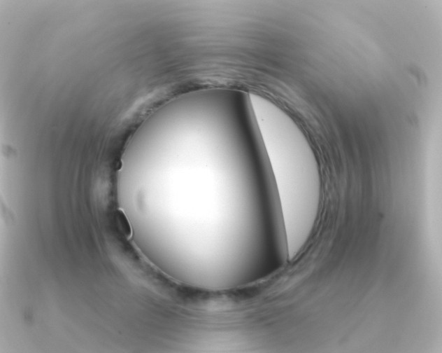 X0000091340600200708101020