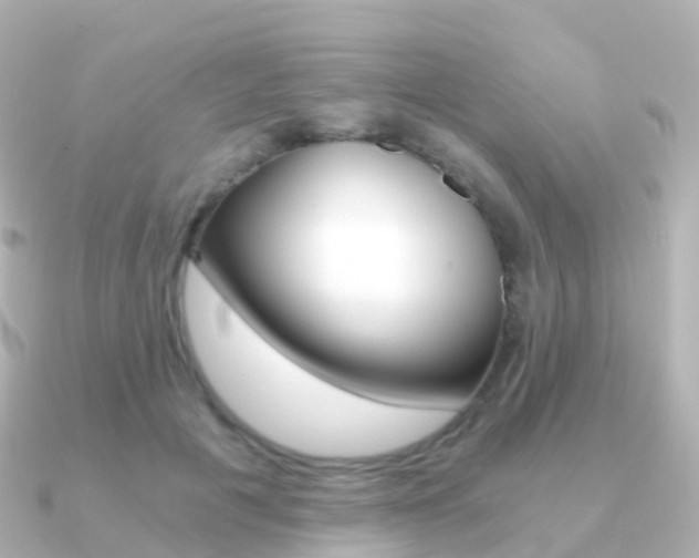 X0000091340601200708101020