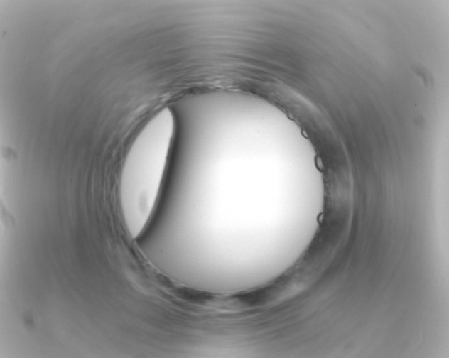X0000091340603200708101020