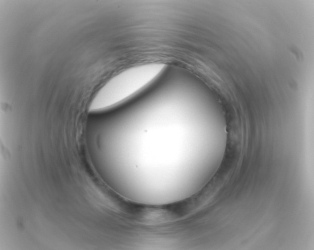 X0000091340605200708101020