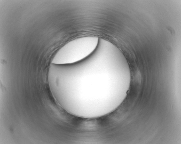 X0000091340606200708101020
