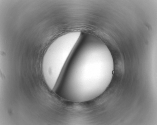 X0000091340608200708101020