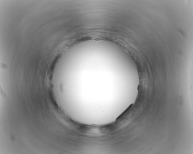 X0000091340611200708101020