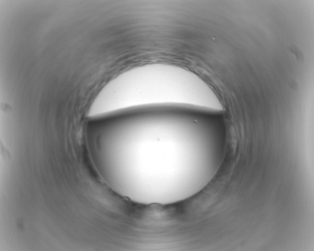 X0000091340613200708101020