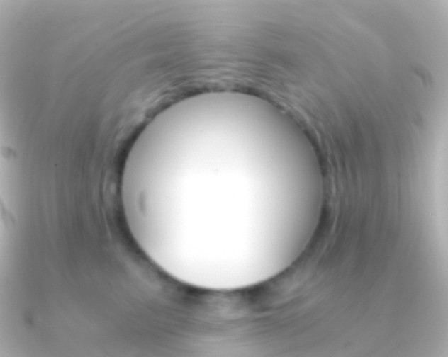 X0000091340615200708101020