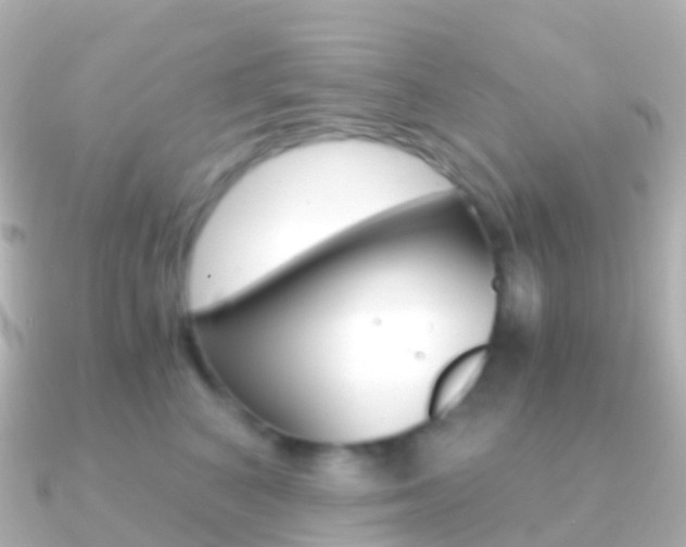 X0000091340616200708101020