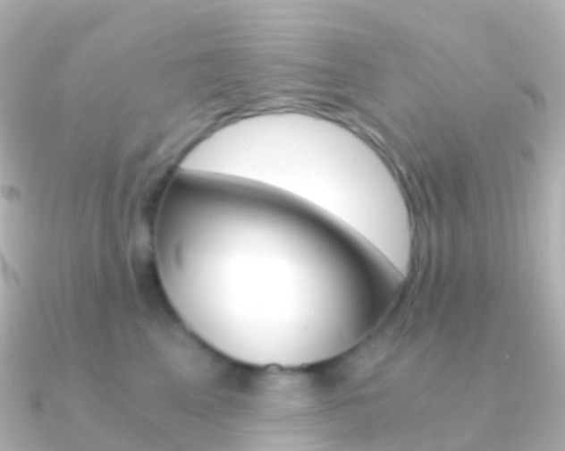 X0000091340617200708101020