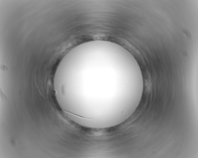 X0000091340618200708101020