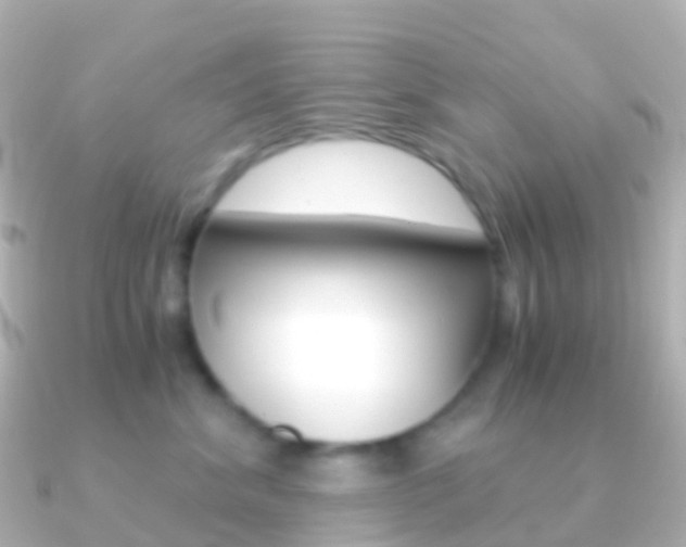 X0000091340620200708101020