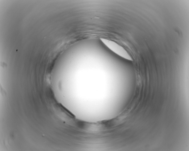 X0000091340621200708101020