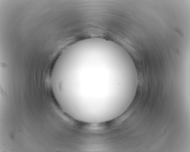 X0000091340622200708101020