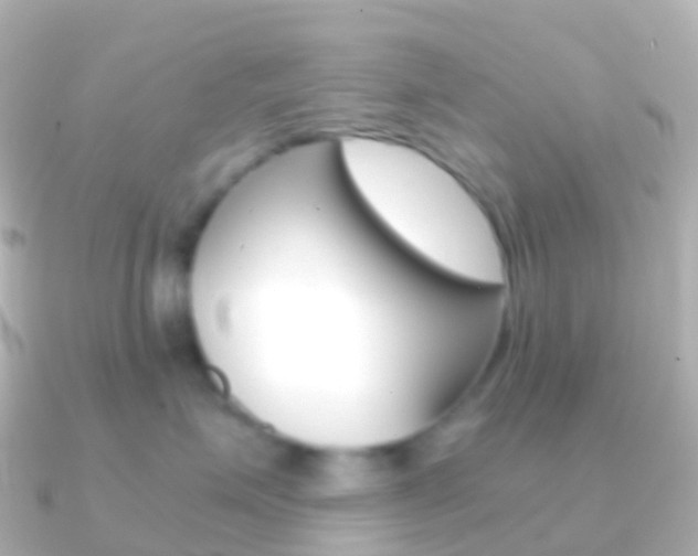 X0000091340623200708101020