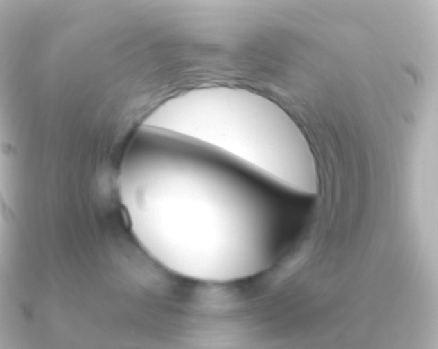 X0000091340624200708101020