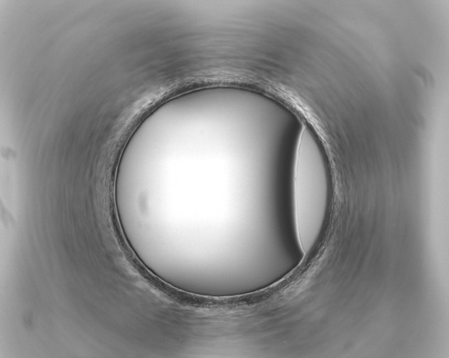 X0000091340625200708101020