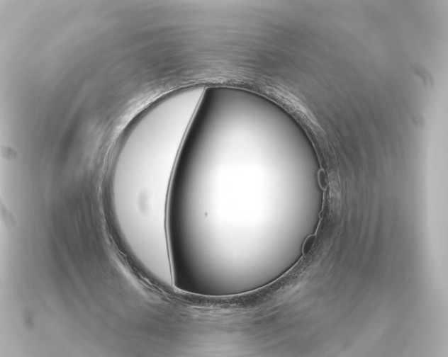 X0000091340626200708101020