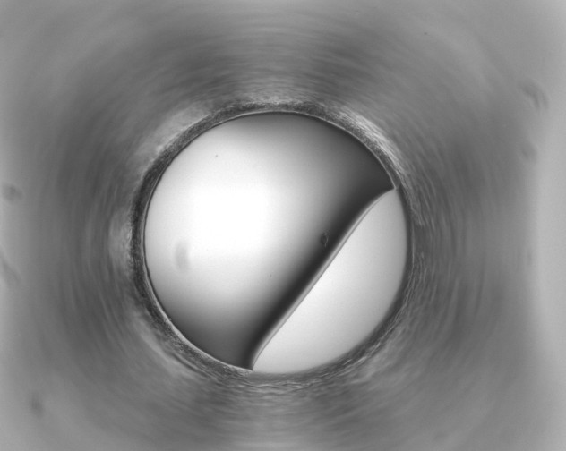 X0000091340627200708101020