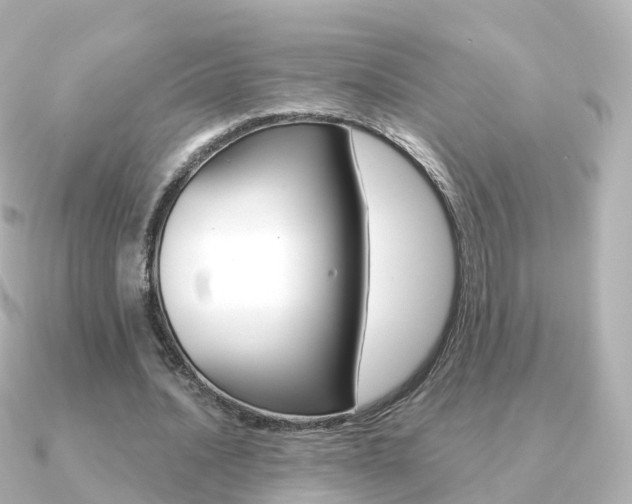 X0000091340628200708101020
