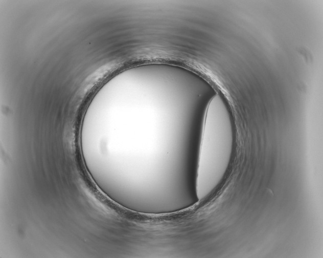 X0000091340629200708101020