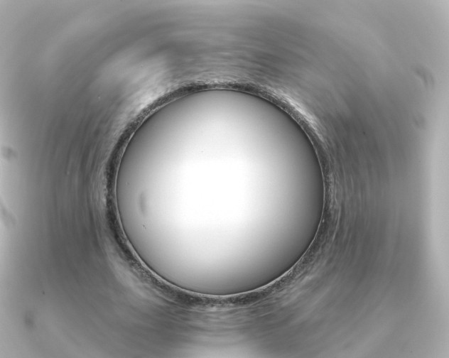 X0000091340631200708101020