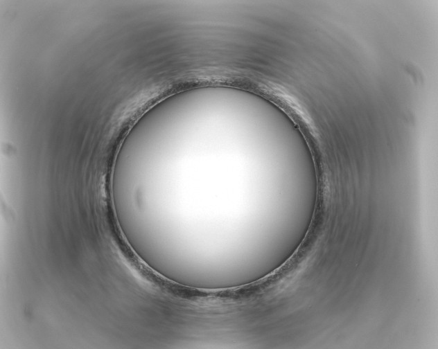 X0000091340633200708101020
