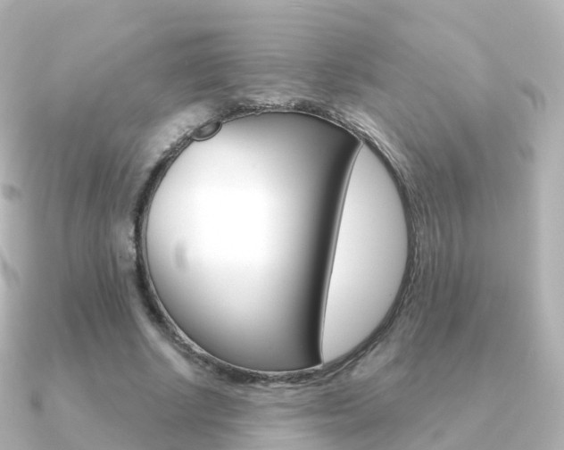 X0000091340634200708101020