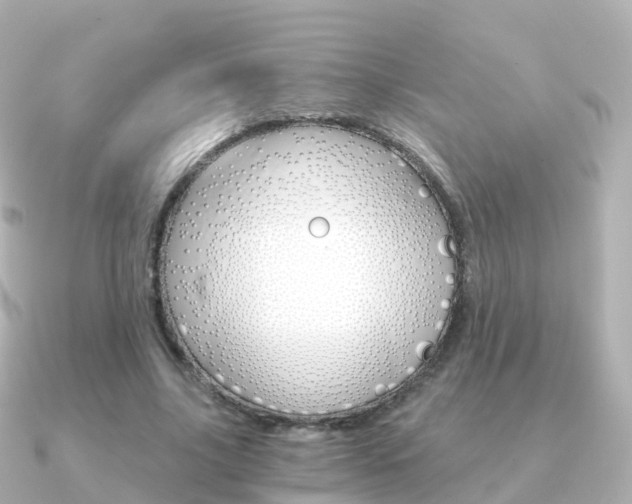 X0000091340635200708101020