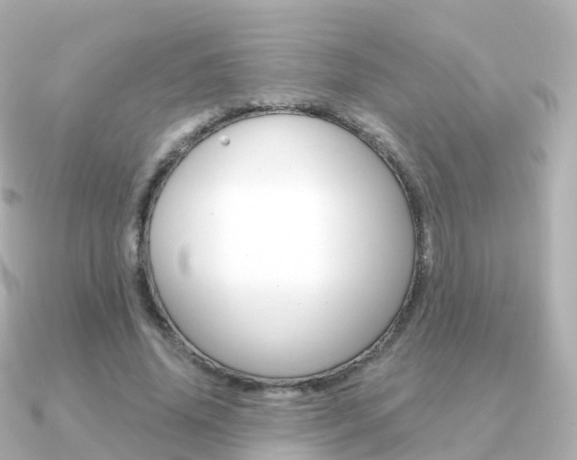 X0000091340636200708101020