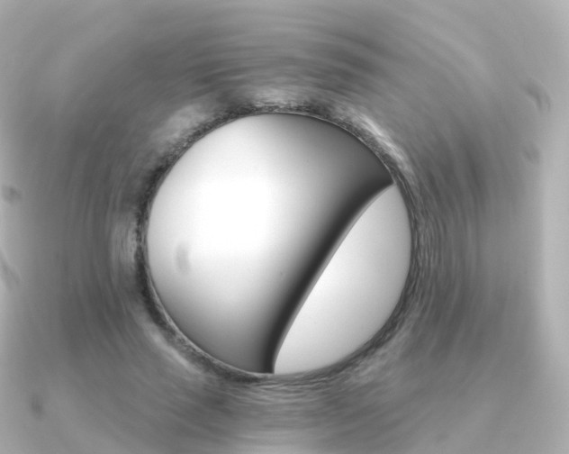 X0000091340637200708101020